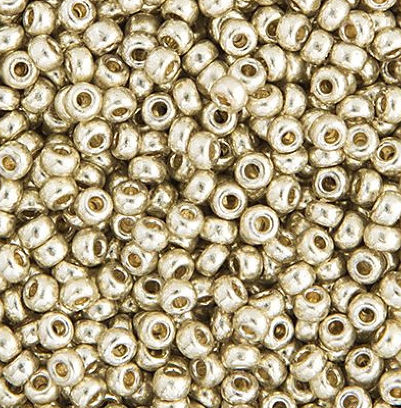 22gms 11/0 Silver Galvanized Duracoat (4201V)