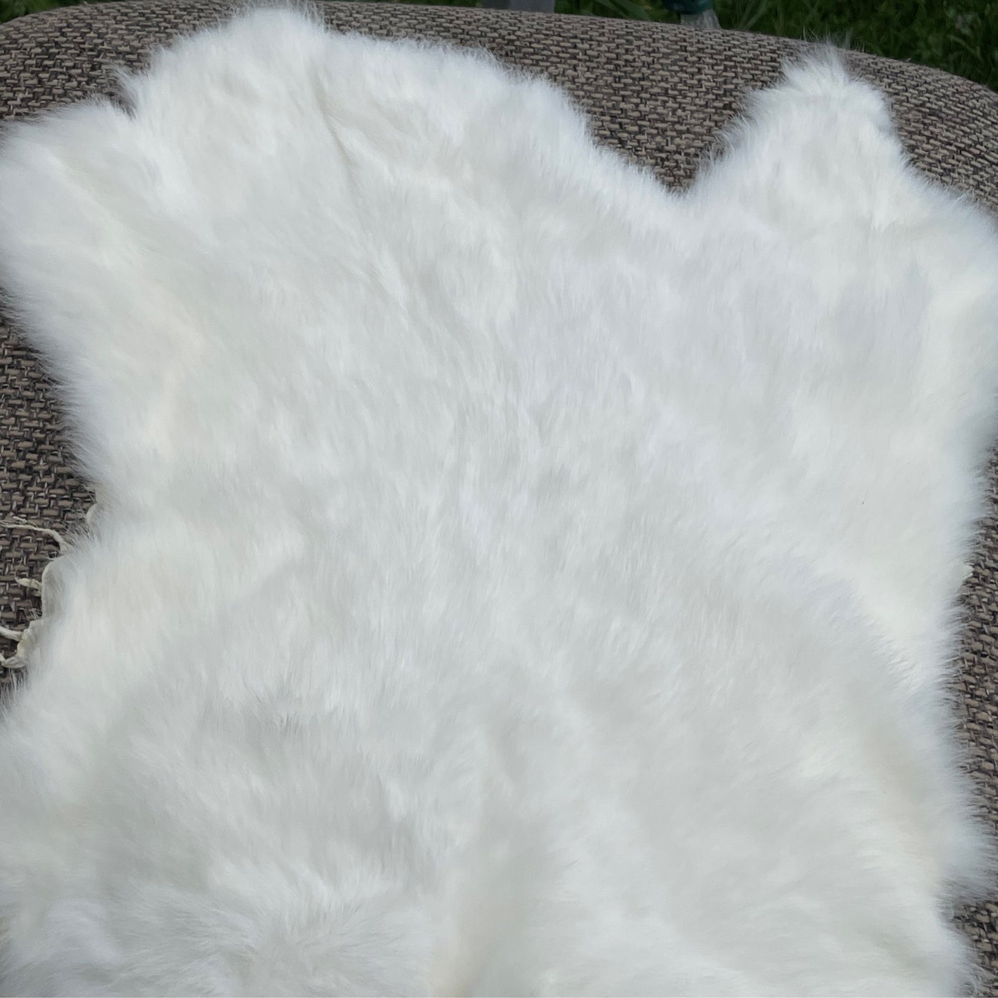 Rabbit Fur Skin 11x15in