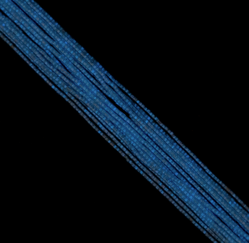 Cylin Bead 11/0 approx.23g Hank Glow in Dark - Sky (1151H)