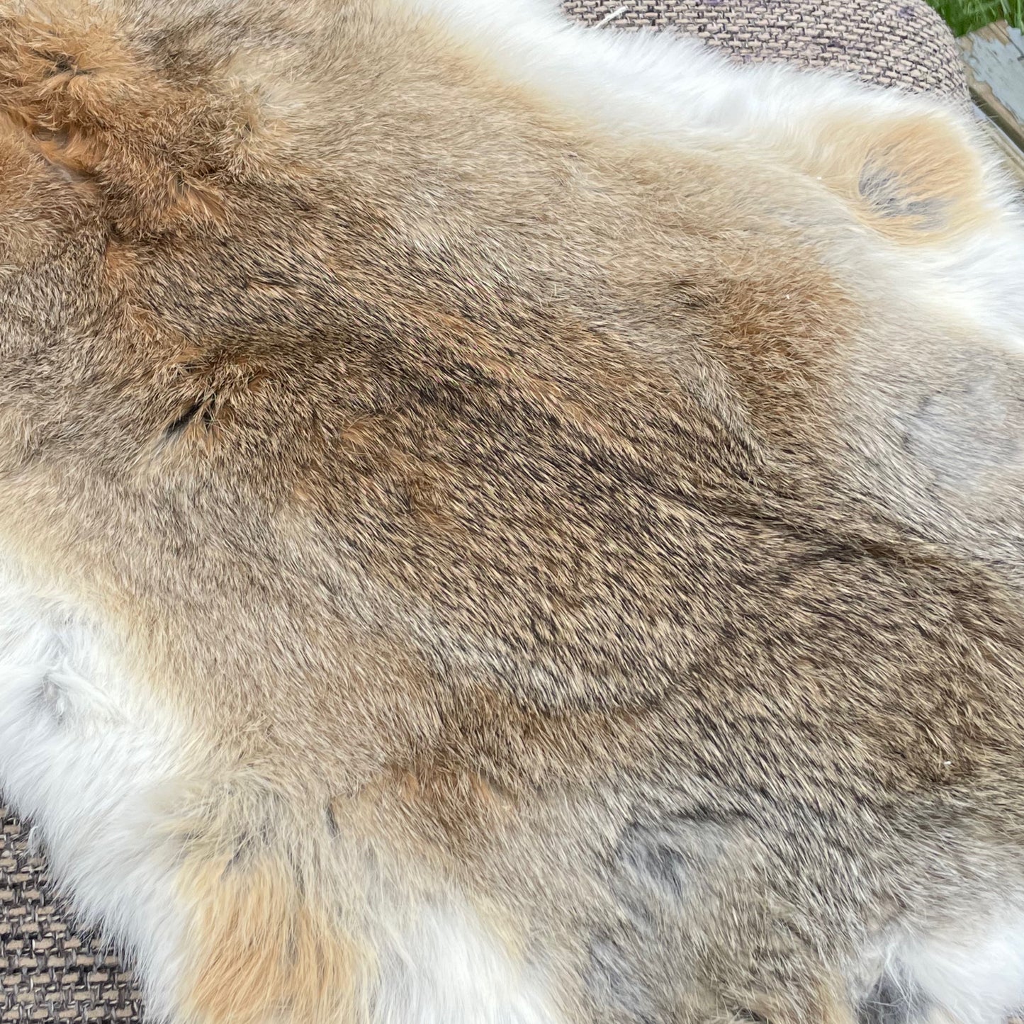 Rabbit fur 15x15’