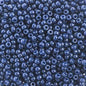 11/0 Duracoat Navy Blue Dyed APX 22g (4493V)