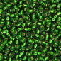 11/0 APX.22g green silver lined (0016V)