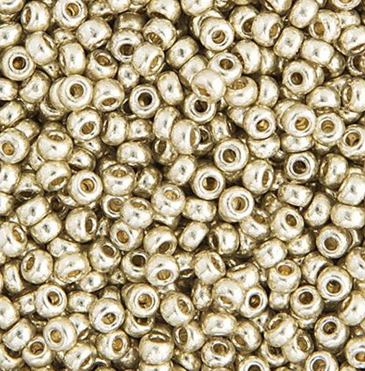 22gms 11/0 Silver Galvanized Duracoat (4201V)
