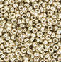 22gms 11/0 Silver Galvanized Duracoat (4201V)