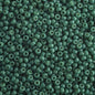 11/0 spanish palms green 22g (4477V)
