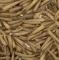 Dentellium .5- 1 inch Not Water Resistant
