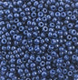 11/0 Duracoat Navy Blue Dyed APX 22g (4493V)