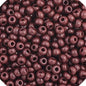 11/0 Vial Opaque Dark Brown apx24g (66434926V)
