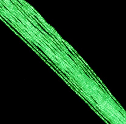 Cylin Bead 11/0 approx.23g Hank Glow in Dark - Turquoise (1152H)