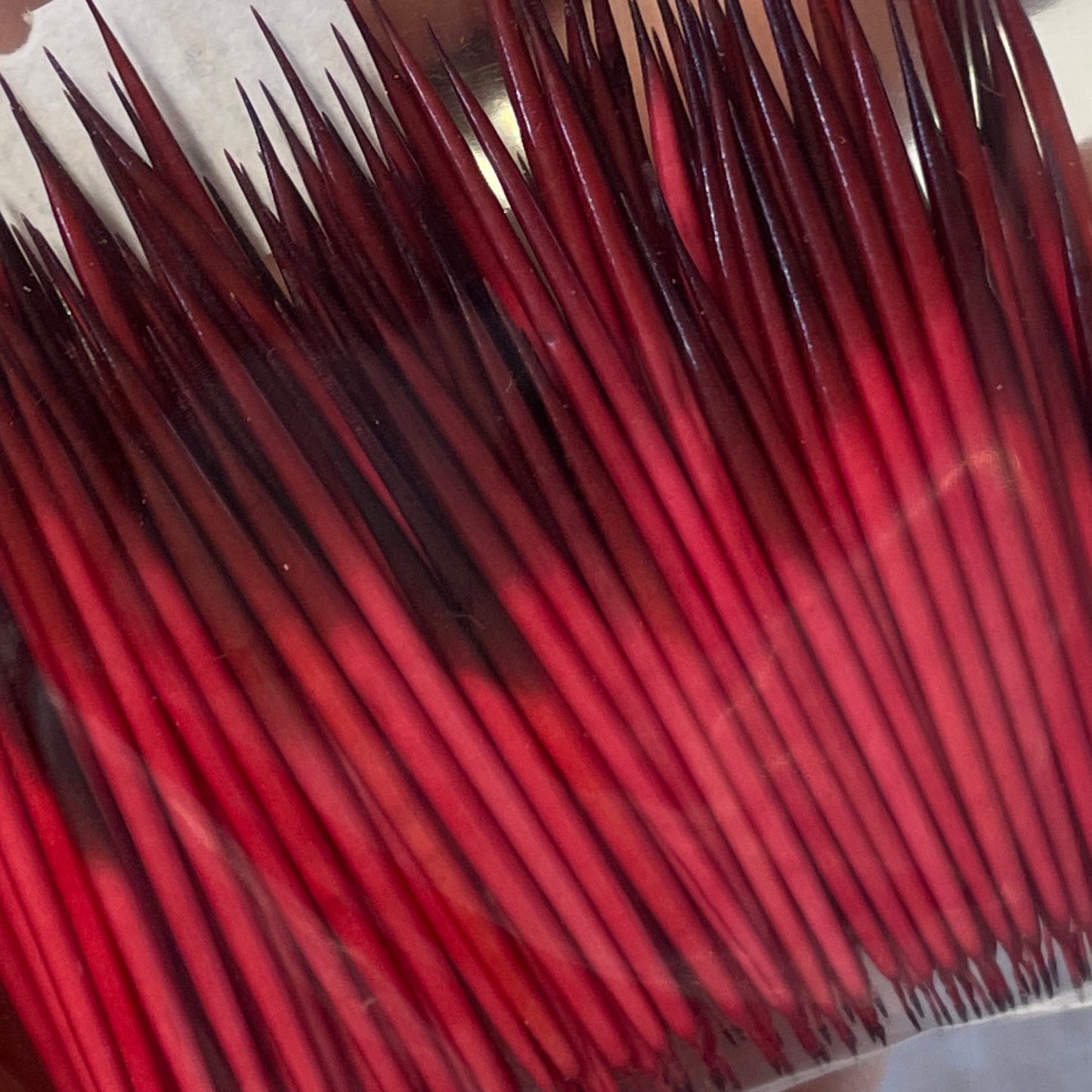 quill red1.5