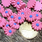 Pink daisies with blue center