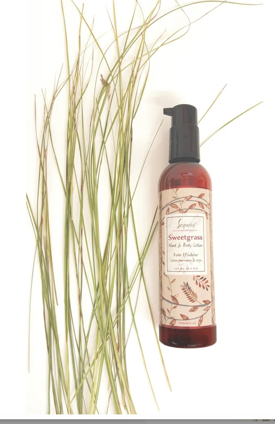 Hand & Body Lotion 8.0 oz