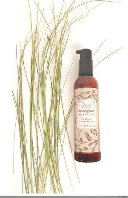 Hand & Body Lotion 8.0 oz