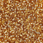 Delica 10/0 RD  Gold Silver Lined (0042V)