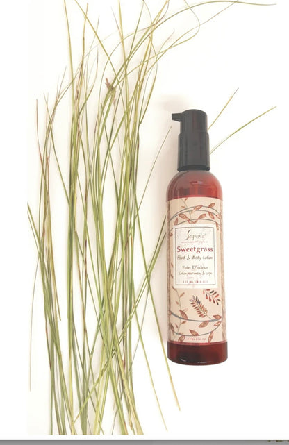 Hand & Body Lotion 8.0 oz