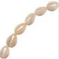 Natural Cowrie Bead