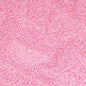 10/0 Pink Clear Czech Seed Bead 42g