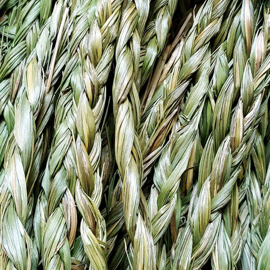Sweetgrass Braids (20 inch)