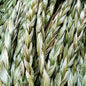 Sweetgrass Braids (20 inch)