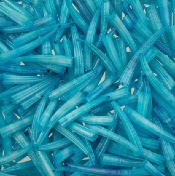 Dentellium .5- 1 inch Not Water Resistant