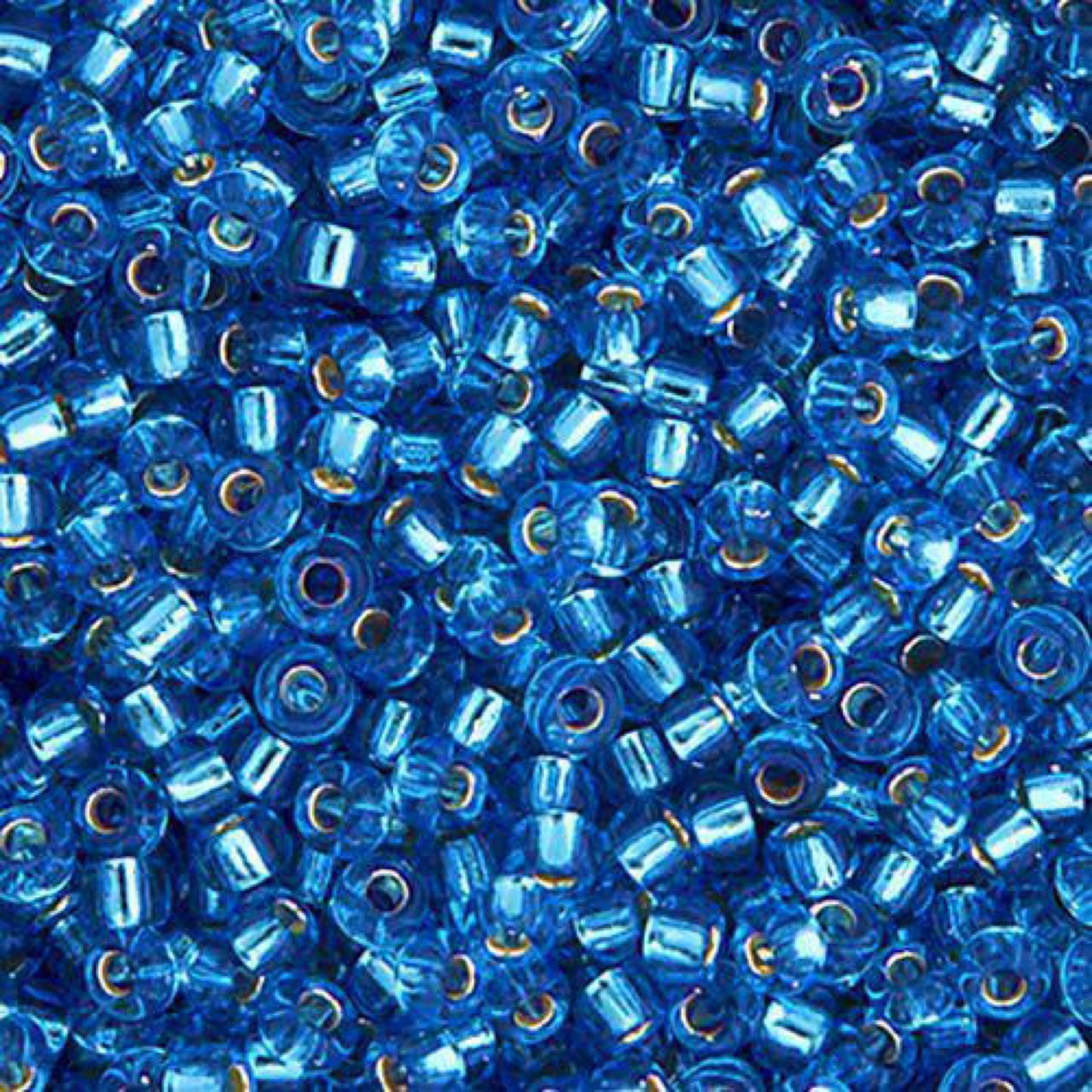 11/0 S/L Sapphire Silver 22g (0019V)