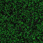 #2 bugle Green s/L