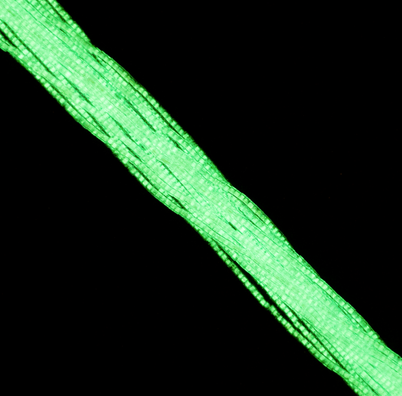 Cylin Bead 11/0 approx.23g Hank Glow in Dark - Green (1145H)