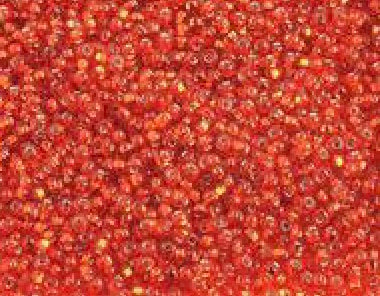 10/0 Orange S/L Czech Seed Bead