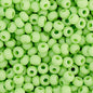 11/0 Vial Opaque Pale Green apx23g (66434908V)