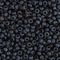 11/0 charcoal matt  23g (2010V)