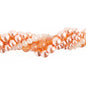 27290100-31 Twisted Bead Pincushion Protea