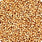 10/0  Galvanized Champagne Miyuki Delica 5.2g (1834v)