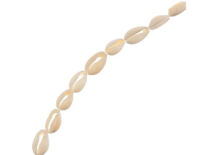 Natural Cowrie Bead