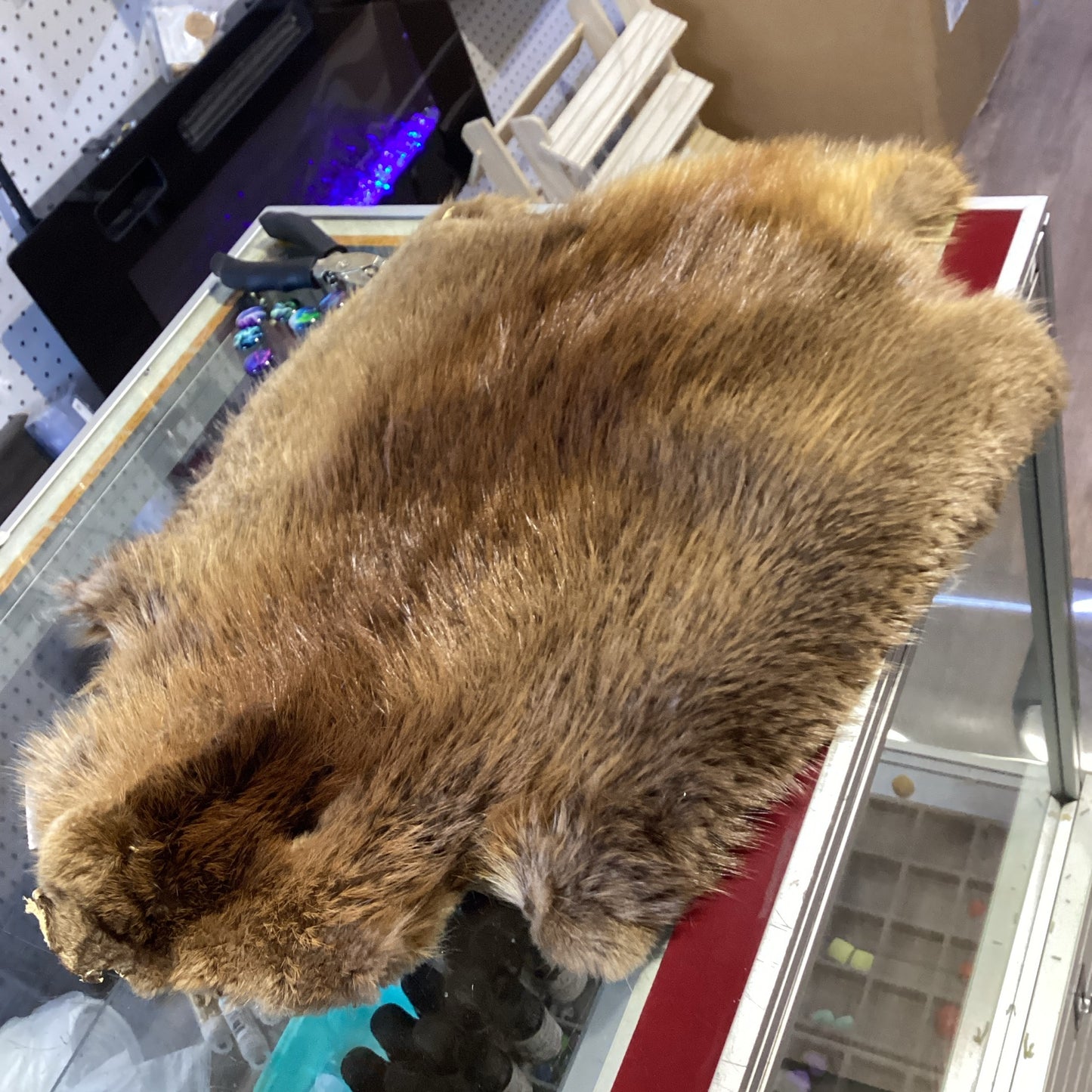 Beaver fur skin -small