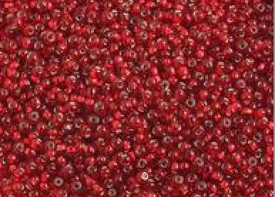 10/0 Red Silver Lined Czech Seed Bead
