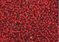 10/0 Red Silver Lined Czech Seed Bead