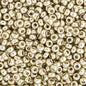 22gms 11/0 Silver Galvanized Duracoat (4201V)