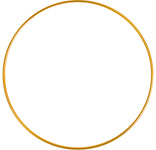 Metal Ring 16inch Brass