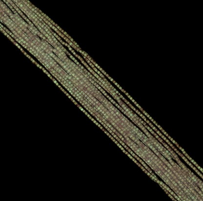 Cylin Bead 11/0 approx.23g Hank Glow in Dark - Purple (1141H)