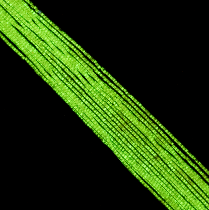 Cylin Bead 11/0 approx.23g Hank Glow in Dark - Light Green (1144H)