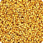 11/0 50g miyuki delica duracoat galvenized (1832B)