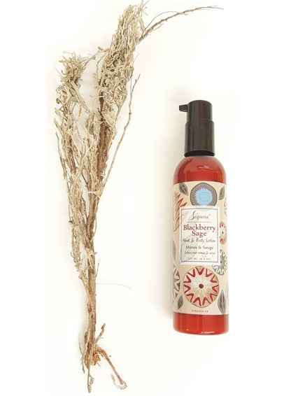 Hand & Body Lotion 8.0 oz