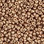 11/0 apx.22g Galvanized Duracoat Champagne (4204V)