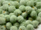 Mini Poms